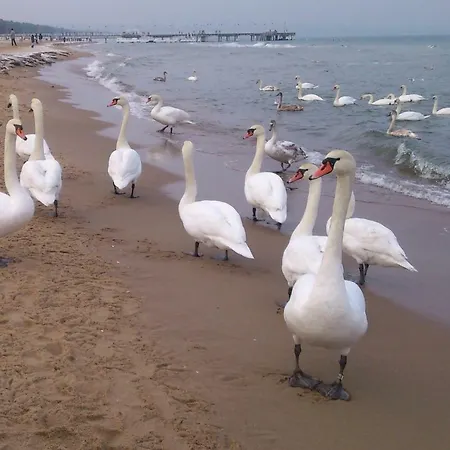 Mieszkanie- Chodkiewicza Lägenhet *