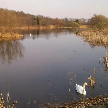 Mieszkanie- Chodkiewicza Lägenhet *