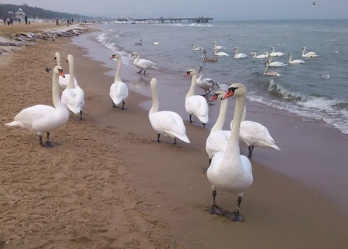 Mieszkanie- Chodkiewicza Apartment *