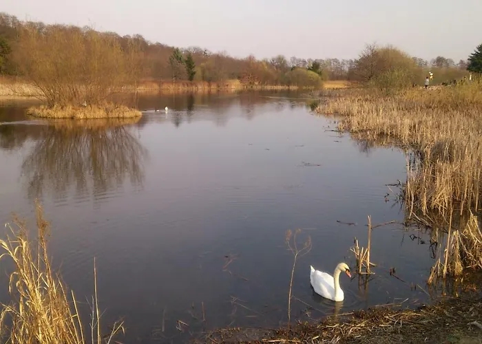 Mieszkanie- Chodkiewicza Apartment *